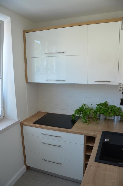 גדנסק Apartament Na Starowce Grobla I חדר תמונה